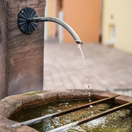 Berta-europapark-schwarzwald-freiburg Ettenheim