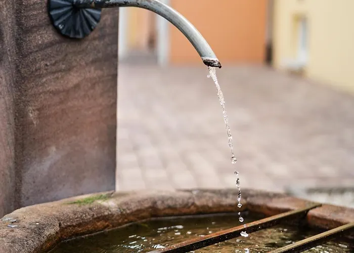 Berta-europapark-schwarzwald-freiburg Ettenheim